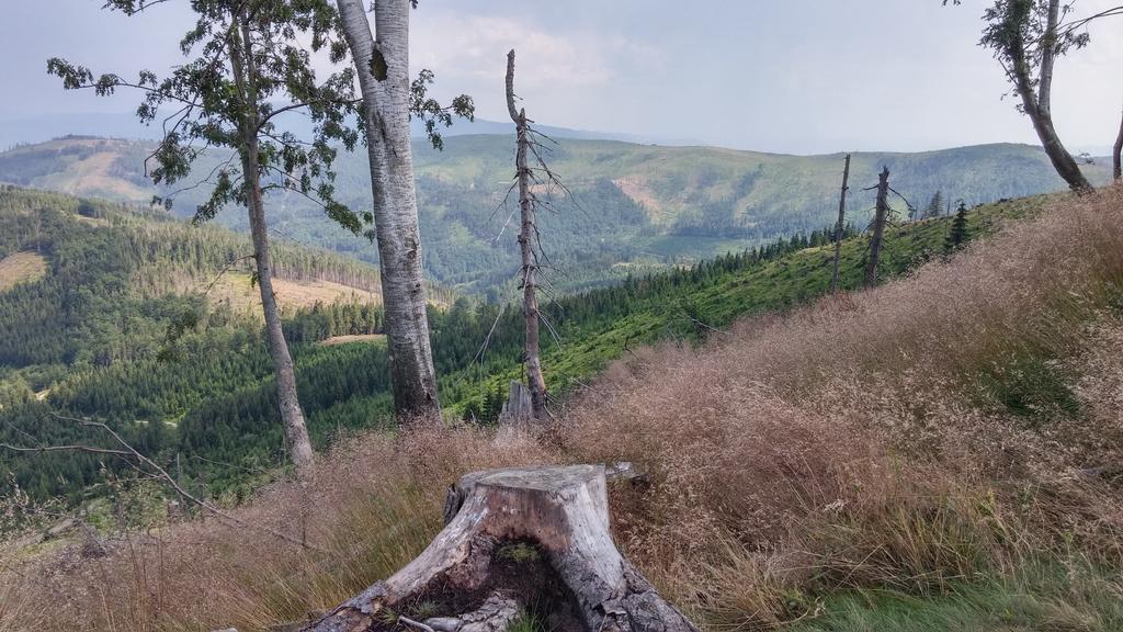 Pod Klimczokiem I Bed and Breakfast Szczyrk Exteriör bild